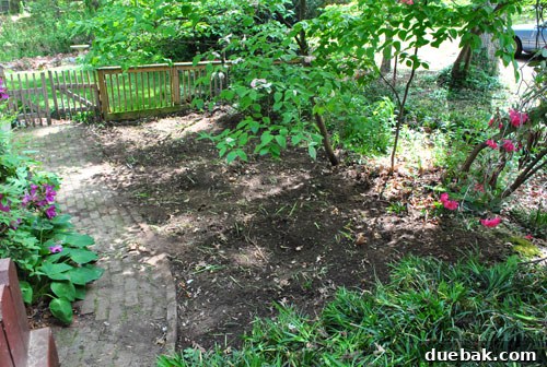 The cleared area, ready for patio construction