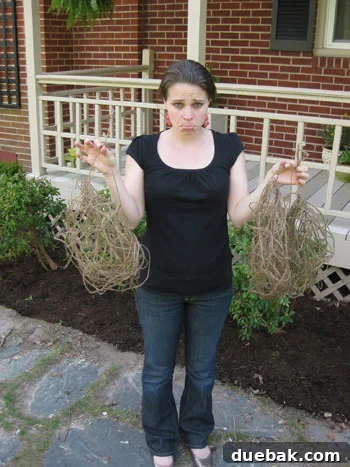 Unfinished DIY project