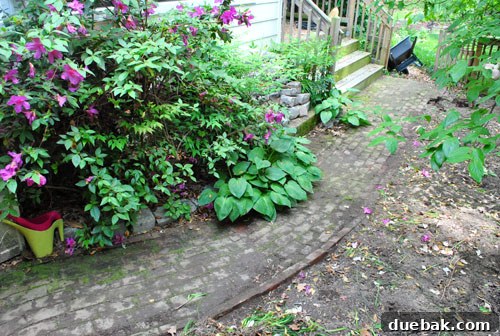 Achieving a Flawless Foundation for Your Paver Patio 3 Old brick path before removal, showing loose edges