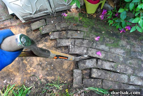 Achieving a Flawless Foundation for Your Paver Patio 4 Removing bricks laid in sand, revealing easy progress