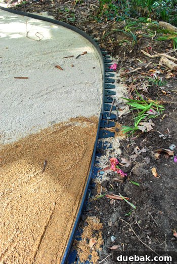 Plastic landscape edging installed along the patio perimeter to hold pavers in place