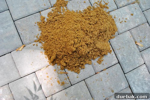 DIY Paver Patio: Transform Your Backyard 15 Dumping sand onto pavers