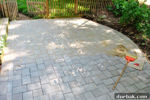 DIY Paver Patio: Transform Your Backyard 16 Sweeping sand into paver cracks