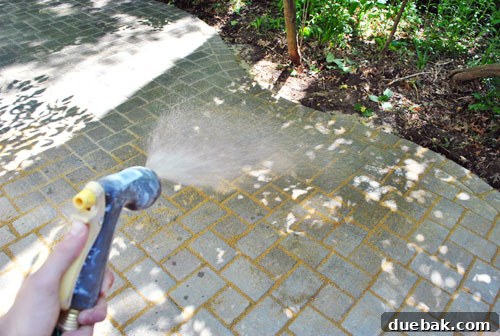 DIY Paver Patio: Transform Your Backyard 17 Misting pavers with water