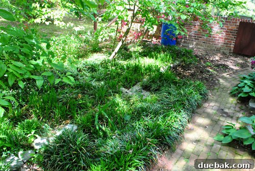 DIY Paver Patio: Transform Your Backyard 21 Another view of patio area before renovation