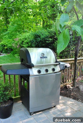 DIY Paver Patio: Transform Your Backyard 27 Grill on the new patio