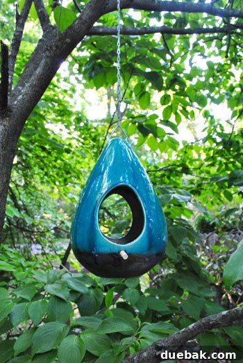 DIY Paver Patio: Transform Your Backyard 28 Bird feeder on the patio