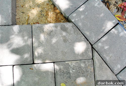 DIY Paver Patio: Transform Your Backyard 9 Close up of laid pavers and cuts
