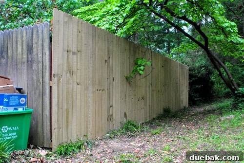 Crafting Your Perfect Property Border 17 View of the existing shorter fence panel in front of the new privacy fence, partially hidden by lush plants