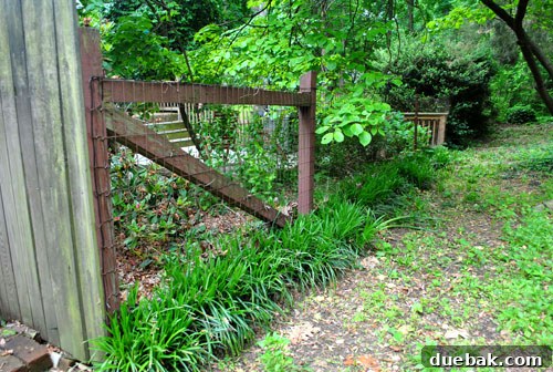 Crafting Your Perfect Property Border 5 Close-up of the old, short wire mesh fence, illustrating its lack of effectiveness for privacy