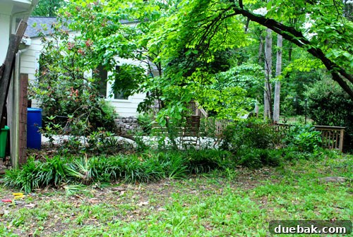 Crafting Your Perfect Property Border 6 Author cutting and removing sections of the old, dilapidated wire mesh fence with wire cutters