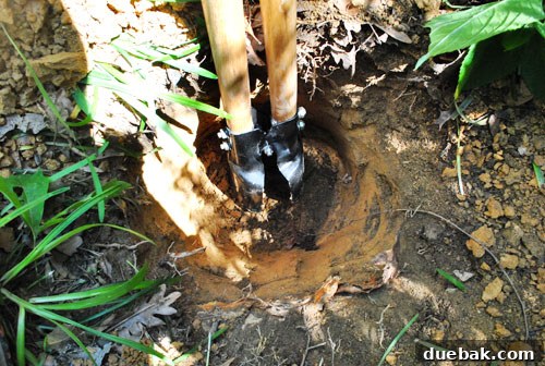 Crafting Your Perfect Property Border 8 Author struggling to dig fence post holes in hard, thick clay soil using a post-hole digger