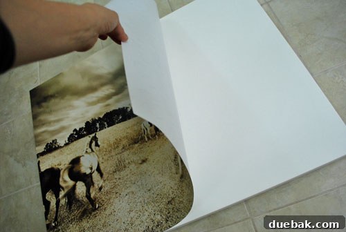 Securely Mounting Large Prints to Canvas Using Acrylic Medium 5 Adhering the second large print to its canvas using spray adhesive