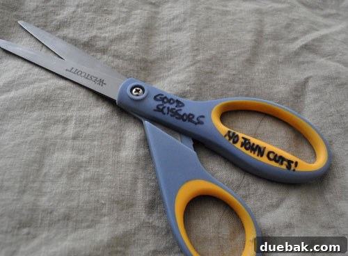 Scissors labeled 'NO JOHN CUTS' for sewing use