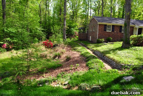 Outdoor Progress: A Guided Tour 4 A seemingly detached slice of land that is actually part of the property, highlighting the complex boundary lines