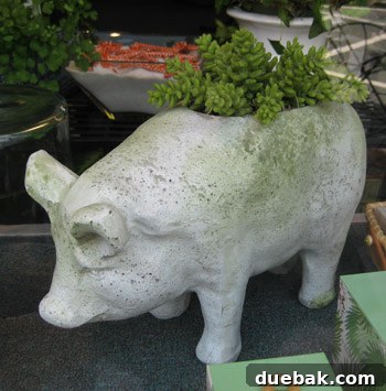 A cute pig-shaped planter displayed in a flower shop window, a charming and rustic home decor item.