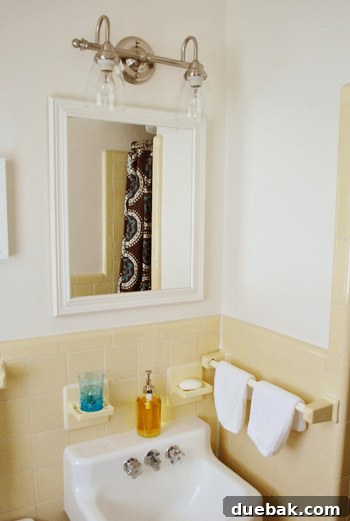 Shedding New Light on Our Bathroom 12 The disliked light fixture with plastic threads