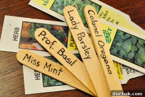 Popsicle stick labels with Clue-inspired character names for herbs