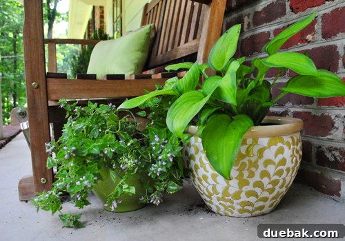 Another perspective of the updated porch, showcasing the added greenery