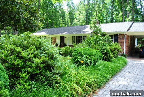 View from the driveway showing overgrown bushes blocking the porch