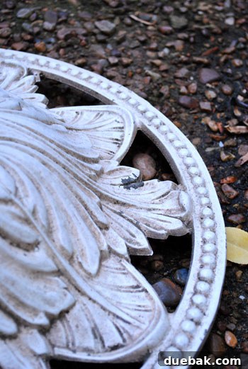 Detailed shot of peeling paint on the edge of the patio table
