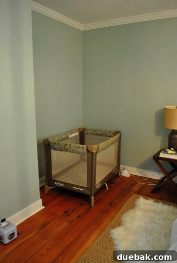 Shelves from Clara's closet temporarily stored in the guest bathroom, waiting to be reinstalled