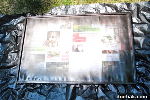 From Drab to Fab: Spray Paint Frame Makeover 13 Close-up of spray painted frame drying on a rock
