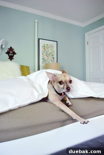 From Drab to Fab: Spray Paint Frame Makeover 22 Bedroom with new art and plain duvet, ready for a bedding change