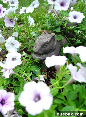 Squirrel gracefully perched among the flourishing garden flowers