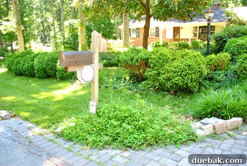 Previously unkempt mailbox area, before its aesthetic improvement