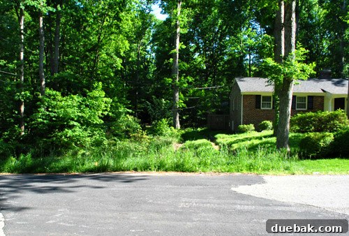 Overgrown and unkempt side yard of the property, appearing detached