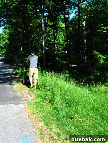 John diligently mowing the severely overgrown side yard with a push mower