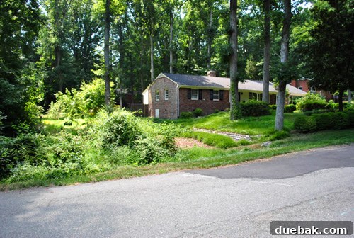 Side yard after mowing, showing a more manicured front leading to a naturalized back slope