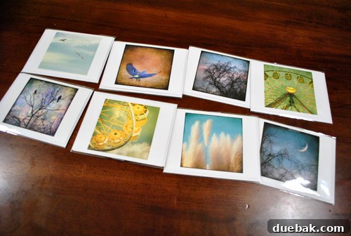 Collection of photography note cards arranged together