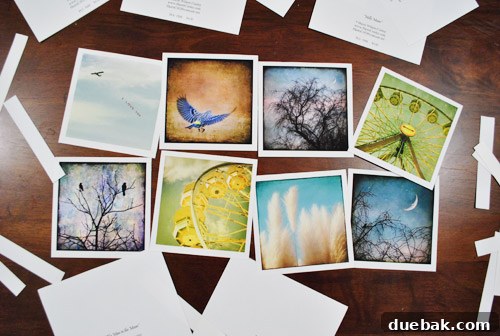 Close-up of a trimmed note card with a white border, resembling a polaroid