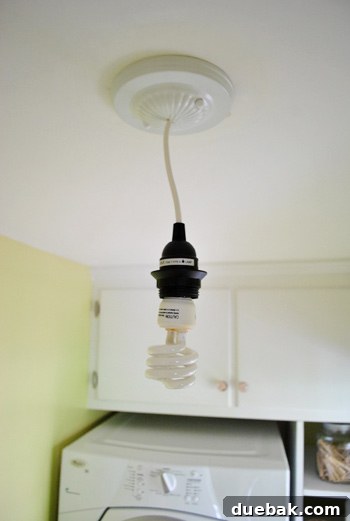 Close-up of chandelier light kit and ceiling canopy