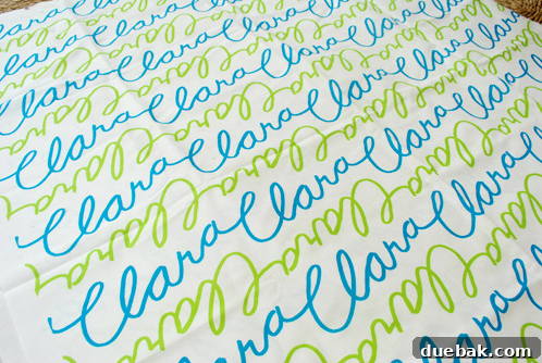 Celebrating April's Apex 13 Custom-designed party invitations and fabric featuring unique handwriting and patterns for Clara's party.