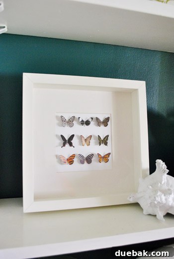 Craft Your Own Whimsical Butterfly Display 12 The completed faux butterfly art displayed on a dark teal built-in shelf