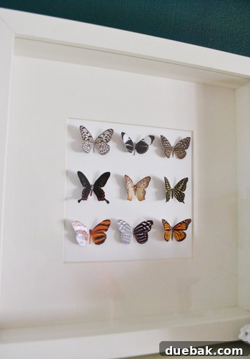Craft Your Own Whimsical Butterfly Display 14 Another close-up of the framed faux butterflies, highlighting their vibrant colors