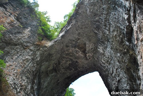 Craft Your Own Whimsical Butterfly Display 16 Panoramic view of the majestic Natural Bridge stone arch in Virginia