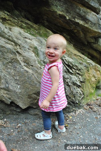 Craft Your Own Whimsical Butterfly Display 18 Toddler Clara intently examining a rock she found during a hike