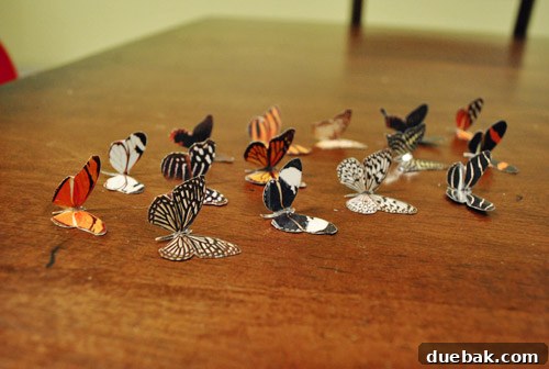 Craft Your Own Whimsical Butterfly Display 7 Multiple paper butterflies with gently folded wings, showcasing a 3D effect