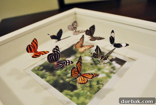 Craft Your Own Whimsical Butterfly Display 8 Nine paper butterflies arranged in a three-by-three grid on a frame's glass