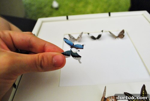 Craft Your Own Whimsical Butterfly Display 10 Applying a dab of craft glue to the back crease of a paper butterfly