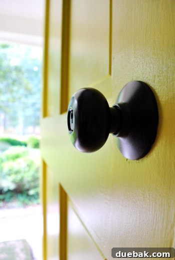 Transform Your Hardware with Spray Paint 20 Refinished front door hardware, front view