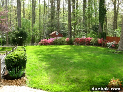 Beautifully landscaped and flat grassy backyard of the first house, surrounded by woods