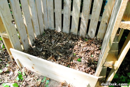 Turn Pallets Into Garden Gold 16 First layer of brown leaves in the compost bin