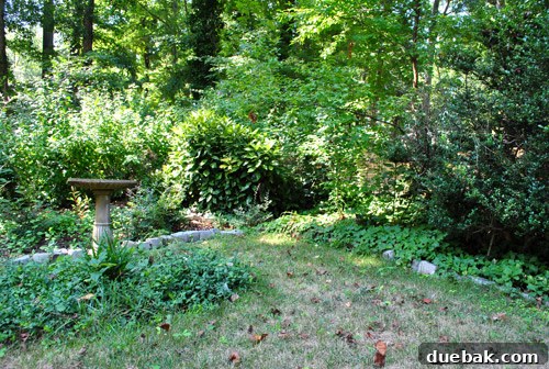 Turn Pallets Into Garden Gold 3 Chosen corner for the new compost bin
