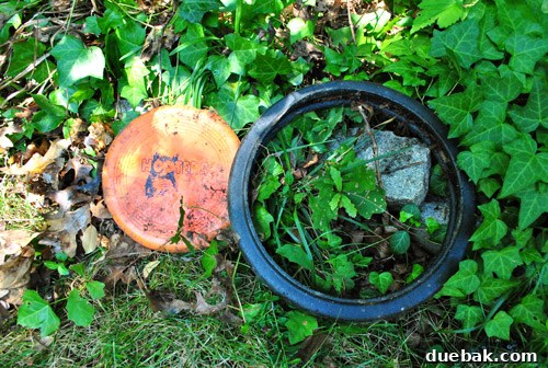 Turn Pallets Into Garden Gold 6 Unexpected treasures found while clearing for compost bin
