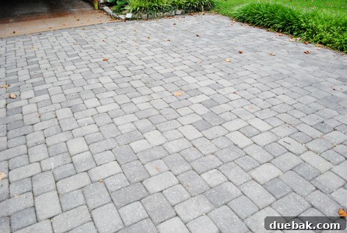 Close-up of a paver driveway with weeds growing in cracks